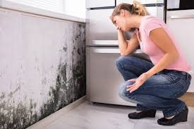 Mold Remediation for Rental Properties in Sterling City, TX