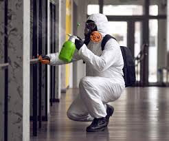 Environmental Consulting for Mold Prevention in Sterling City, TX